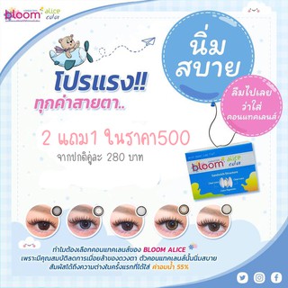 Alice Bloomคอนแทคเลนส์สีรายเดือน2แถม1(แพ๊ค3)