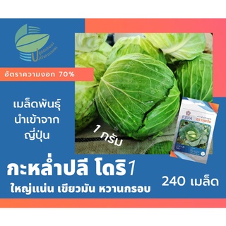 กะหล่ำปลีโดริ 1 (Cabbage)