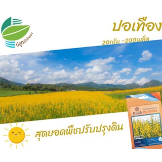 ปอเทือง (Sunn Hemp)​~200 เมล็ด