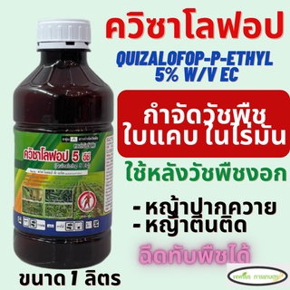 ควิซาโลฟอบ 5 อีซี (quizalofop-P-ethyl) 5% W/V EC ขนาด1 ลิตร กำจัดวัชพืชใบแคบ ปลอดภัยต่อพืชใบกว้าง หญ้าปากควาย