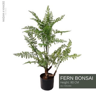 Bonsai Fern 80-120CM - ต้นเฟิร์นบอนไซ ต้นไม้ประดิษฐ์ ต้นไม้ปลอม ต้นไม้ตกแต่งบ้าน Artificial Plant by Madam Khajee