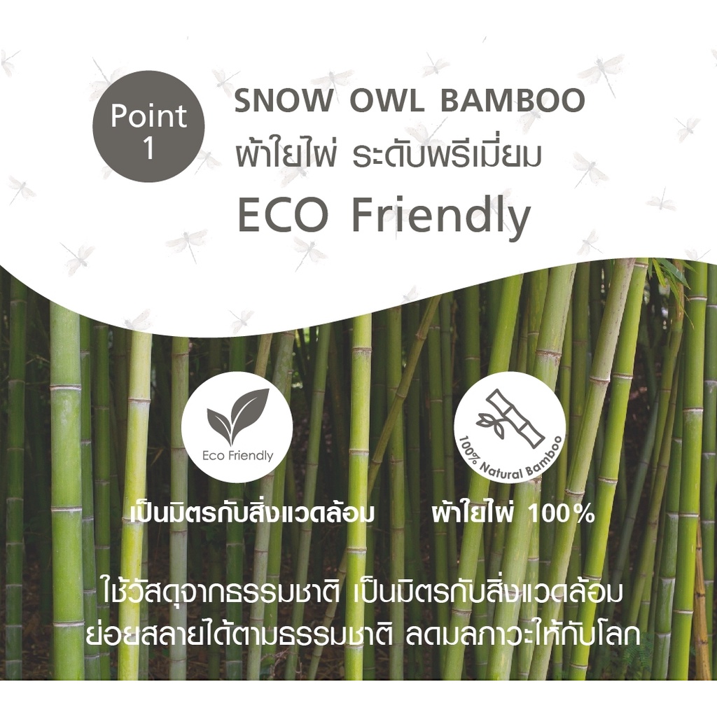 KAYA HARPER x SNOW OWL ผ้าอ้อมใยไผ่ระดับพรีเมี่ยม 100% ไซส์ 11X11 Pack6 - DRAGON FLY - รูปที่ 3