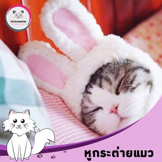 Cat Accessories หมวกแมว หมวกหูกระต่ายสำหรับแต่งตัวแมว  สำหรับแมวขนาดรอบศีรษะ 28-35 Cm.