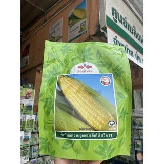 เมล็ดพันธุ์ข้าวโพดหวานจัมโบ้สวีท 200 กรัม