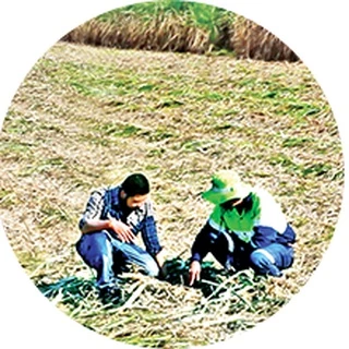 มิตรผล น้ำตาลทรายขาวบริสุทธิ์ 1 กิโลกรัม