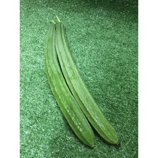 บวบเหลี่ยมสด 🥬 - บวบเขียว ผักผลไม้