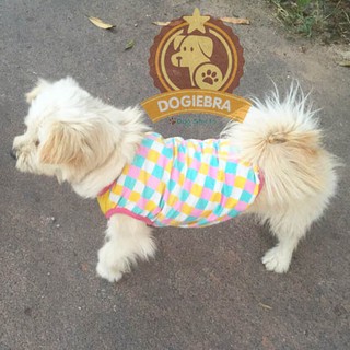เสื้อผ้าสุนัข แขนกุดสีเหลือง PASTEL