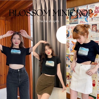 (ลด50% โค้ด50MIDNIGHT) ✨BLOSSOM เสื้อครอปพอดีตัว ผ้าcotton100% พร้อมส่ง!!