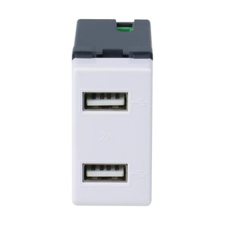 เต้ารับ USB 2 ช่อง HACO AP-USB2 SOCKETS USB 2 MODULES AP-USB2 HACO