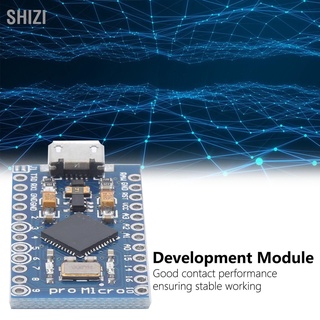 ShiZi Scm บอร์ดโมดูล Mcu Diy อิเล็กทรอนิกส์พร้อมหัวเข็มขัด 2 ขา 5V 16Mhz