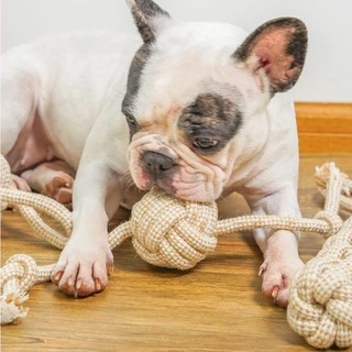 Happy PETs ของเล่นสุนัข เชือกกัด สีน้ำตาล ช่วยขัดฟัน คลายเครียด ของเล่นหมาจ