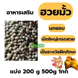 ฮวยมั้วเม็ดใหญ่เกรดสวย รหัส A+อาหารนก แฮมเตอร์ กระรอก(แบ่ง 500g -1kg)