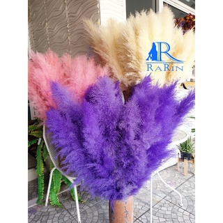 Rarin ดอกเลาย้อมสี (สีม่วง1ก้าน) ขนาด 80-90 cm. เป็นดอกไม้ธรรมชาติ  ดอกฟุ้งฟิ้ง ใช้ประดับห้อง ร้าน งานแต่ง