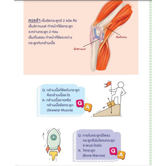 SHORT NOTE AND TEST ติวเข้ม ชีวะ ม.ต้น พร้อมแนวข้อสอบ พิชิตข้อสอบเต็ม 100% (Think Beyond : IDC) 6249 - รูปที่ 3