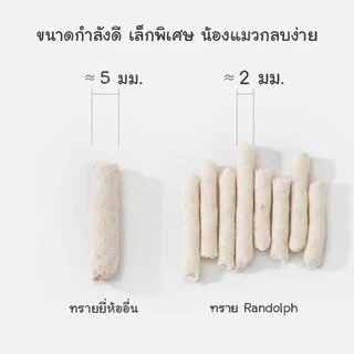 CatHoliday ทรายเต้าหู้พรีเมี่ยม Randolph ทรายแมว