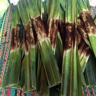 ขนมใบจากของฝากนครปฐม ใส่มะพร้าว