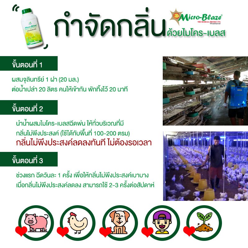 Micro-Blaze ELSC 1000 มล. ดับกลิ่นเหม็น เห็นผลทันที กำจัดแมลงวัน ได้ผลไว-ระยะยาว ปลอดภัย100% - รูปที่ 6