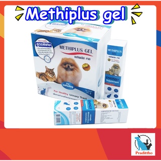 12 หลอด Methiplus gel ละลายนิ่ว เจลอาหารเสริมเพื่อปรับสมดุลของปัสสาวะ  รสชาติอร่อย กินง่าย  สุนัข แมว เป็นนิ่ว