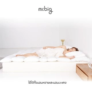 mr.big 7-Zone Comforter Topper เปลี่ยนที่นอนธรรมดาให้เป็นที่นอนที่เข้ากับสรีระ