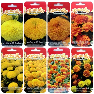 เมล็ดดอกดาวเรือง (Marigold) เมล็ดพันธุ์ดาวเรือง