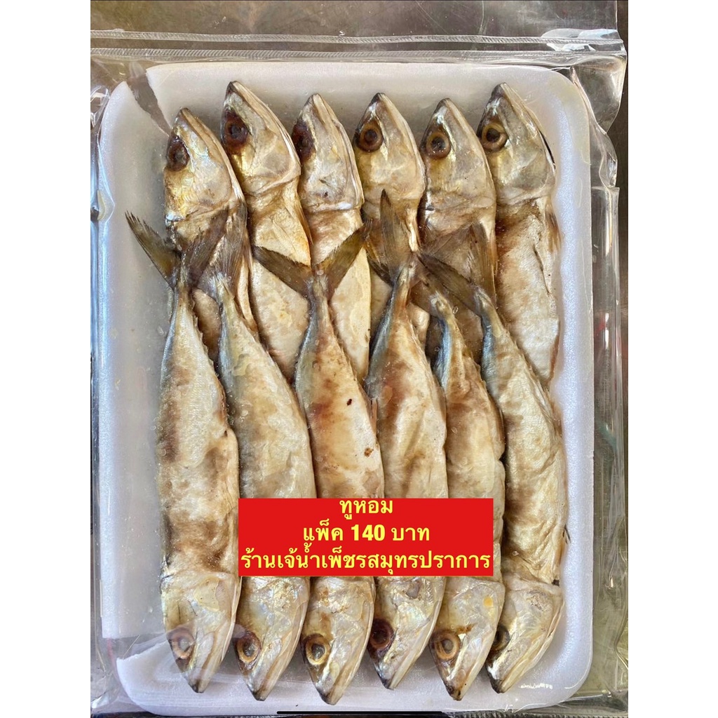 ปลาทูน้ำเค็มหอม ปลาทูแท้ ของใหม่ เนื้อแน่นมันอร่อย ขนาด 500 กรัม