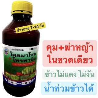 โคลมาโซน 12% + โพรพานิล 27% คุม-ฆ่าหญ้า ข้าวไม่แดง ผลผลิตสูง โคลมาโซนโพรพานิล