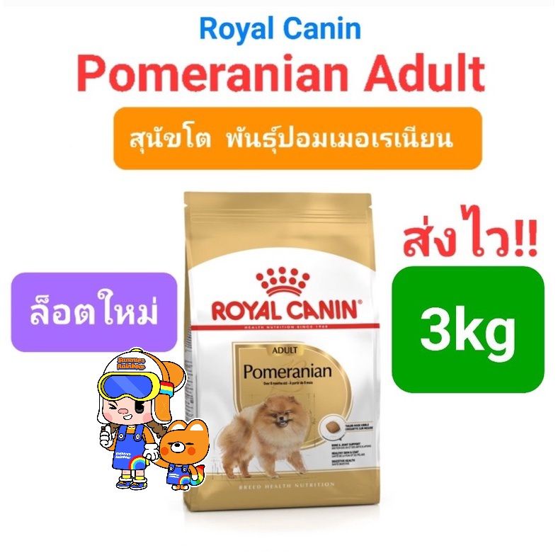 Royal Canin Chihuahua Pomeranian Beagle French Bulldog Shiba Pug Jack Russell 3kg 4kg โรยัลคานิน สุนัขโต 3-4 กิโลกรัม - รูปที่ 3