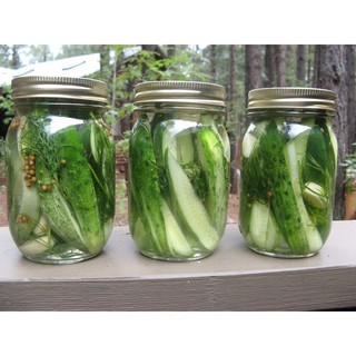 เมล็ด แตงกวา โฮมเมด พริคเคิล - Homemade Pickles Cucumber