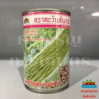 เมล็ดถั่วฝักยาว มังกรหยกเบอร์ 9 100g ตะวันต้นกล้า