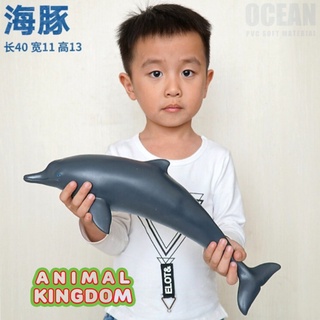 Animal Kingdom - โมเดลสัตว์ ปลาโลมา ขนาด 41.00 CM แบบนิ่ม (จากสงขลา)