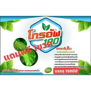 สารสะเดา พีพีสารสะเดาไทย(ทูอินวัน)สูตรเข้มข้น++บรรจุ 5ลิตร (จำนวน 1แกลลอน)++ฟรีช่วงโปรโมชั่น(ฟรีสารจับใบ150ซีซี 1ขวด)