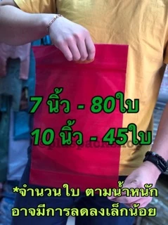 ถุงซิปมีหูหิ้ว หลายสี เนื้อหนา ใส่ปุ๋ยมูลดิน ก้นขยาย