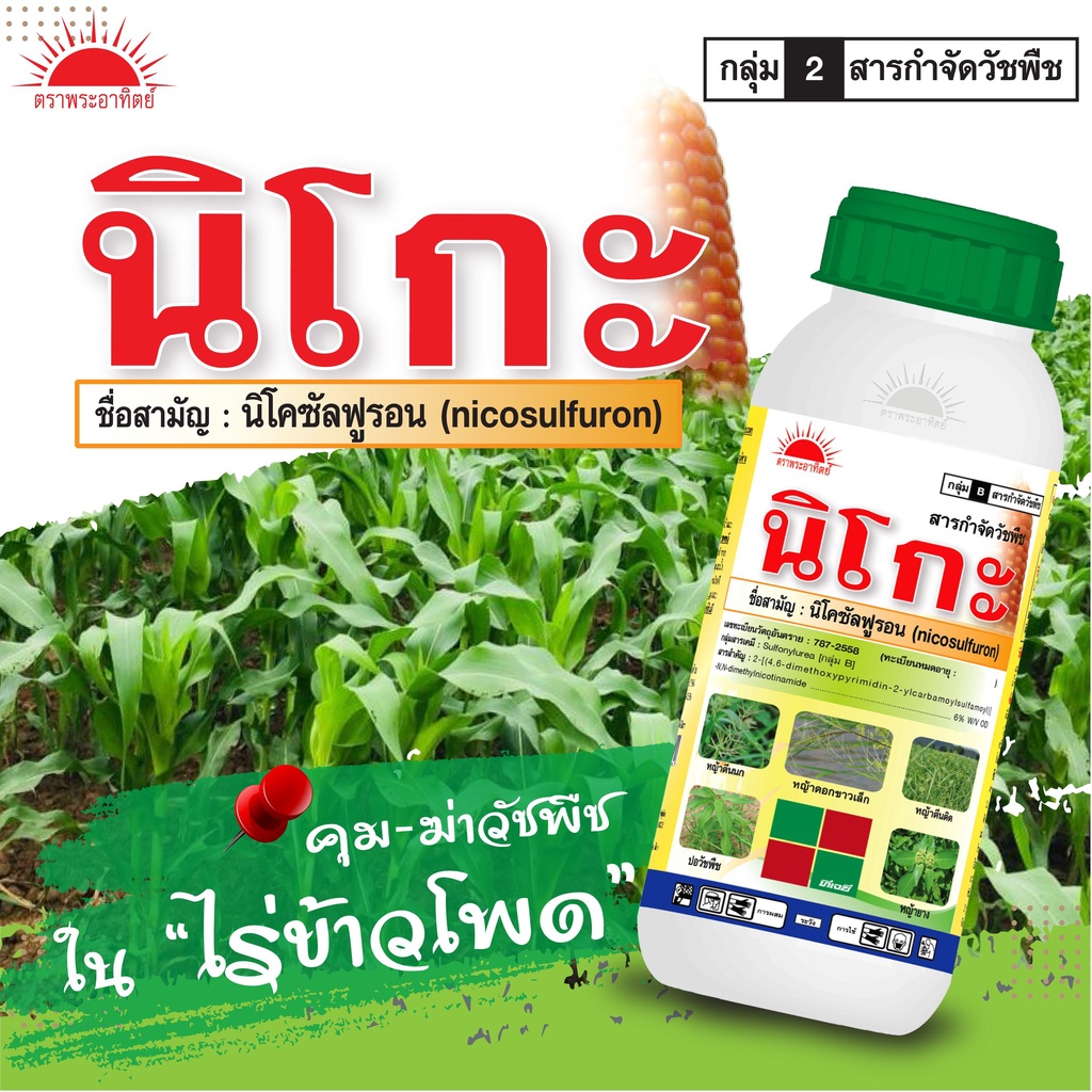 นิโกะ สูตรใหม่ (นิโคซัลฟูรอน) ขวดเดี่ยว/ ชุดคู่กับอะทราซีน 90 สารกำจัดวัชพืชในข้าวโพด ข้าวฟ่างผี หญ้าโขย่ง