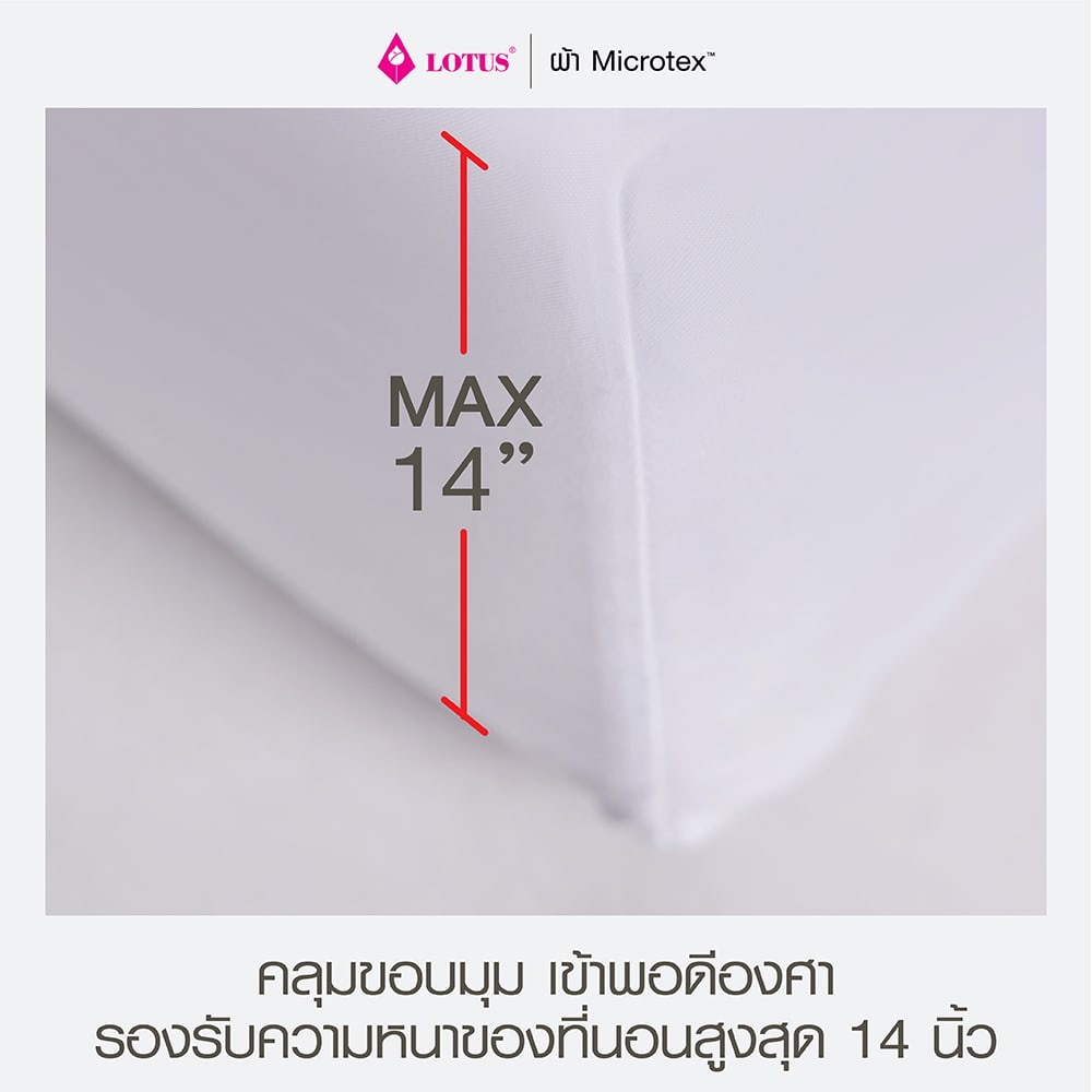 Lotus ชุดผ้านวม (ผ้าห่ม)100x90 นิ้ว + ผ้าปู 6ฟุต 5ชิ้น รุ่น Stripies  รวมลายขายดีสุด - รูปที่ 5