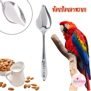 ช้อนป้อนอาหารนก ช้อนป้อนอาหารลูกนก ช้อนป้อนอาหารนกป่วย Bird 12cm นกแก้ว ฟอพัส หงส์หยก คอนัวร์ เลิฟเบิร์ด ลูกนก