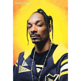 Snoop Dogg, โปสเตอร์นักร้องต่างประเทศ AM/EU