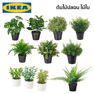 ต้นไม้ปลอม ต้นไม้ปลอมแต่งบ้าน ต้นมอนสเตอล่าปลอม ไม้ใบปลอม FEJKA IKEA อิเกีย