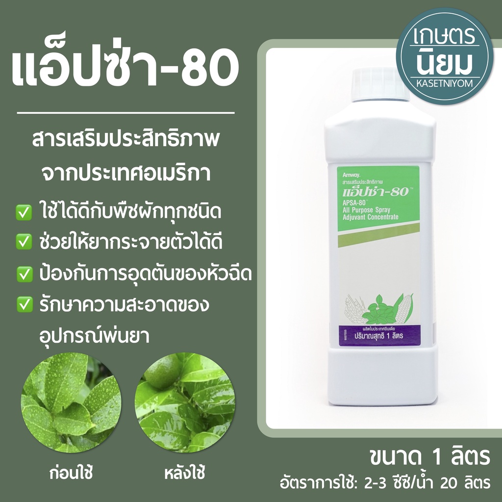 แอ็ปซ่า-80 (สารเสริมประสิทธิภาพจากแอมเวย์) 1 ลิตร