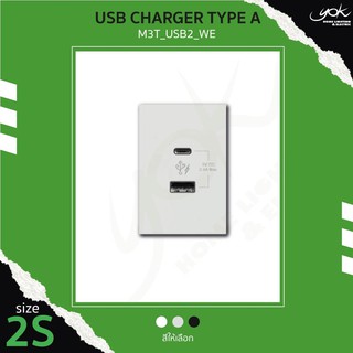 Schneider USB Type C+A (2S)