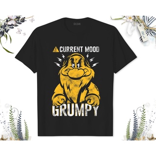 เสื้อยืด พิมพ์ลายกราฟฟิค Disney Snow White Grumpy Mood ของขวัญวันเกิด สําหรับผู้ใหญ่ เด็กวัยหัดเดิน