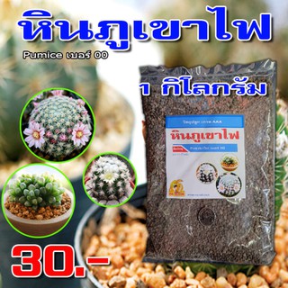 หินภูเขาไฟ Pumice เบอร์ 00 แพ็ค 1 กิโลกรัม