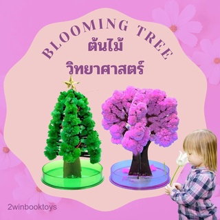 ดอกไม้วิทยาศาสตร์ ต้นไม้วิทยาศาสตร์ Blooming Tree🎄🌸