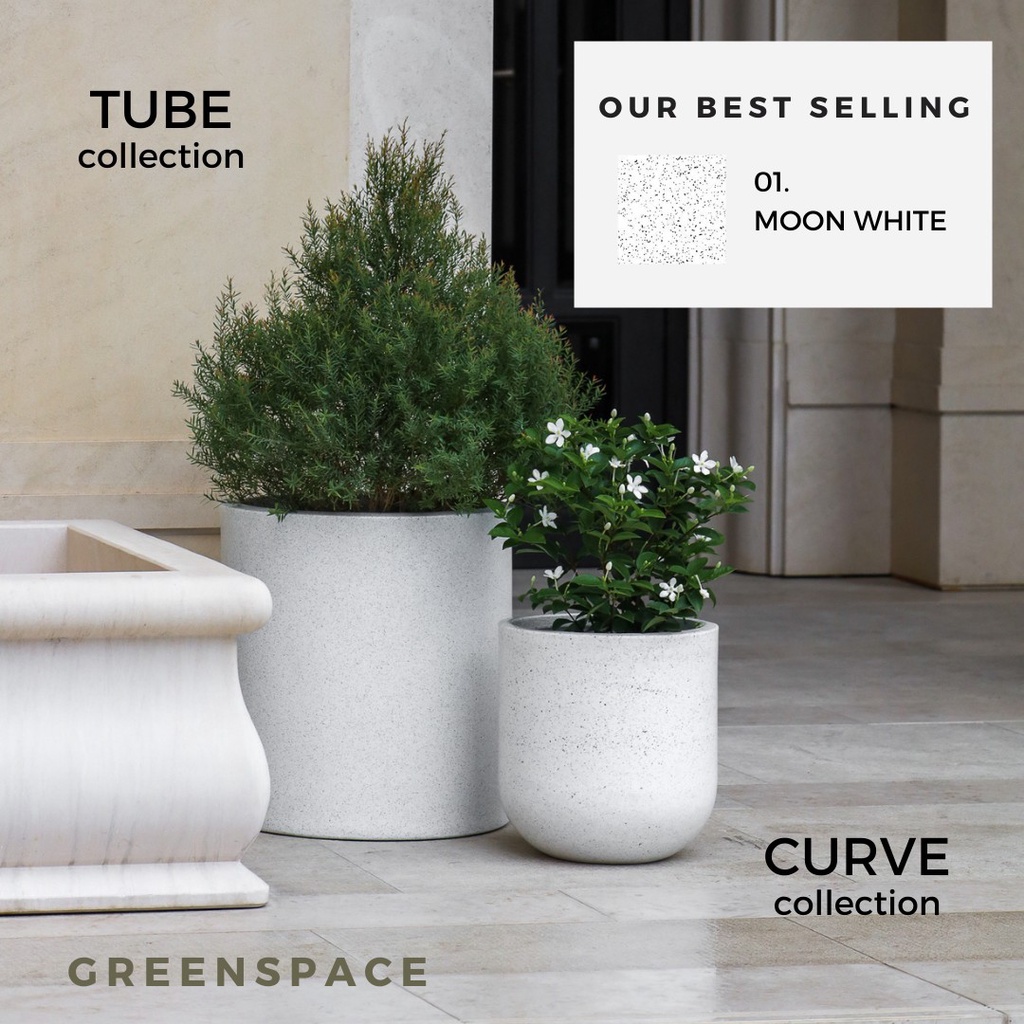 มุมมอง 5