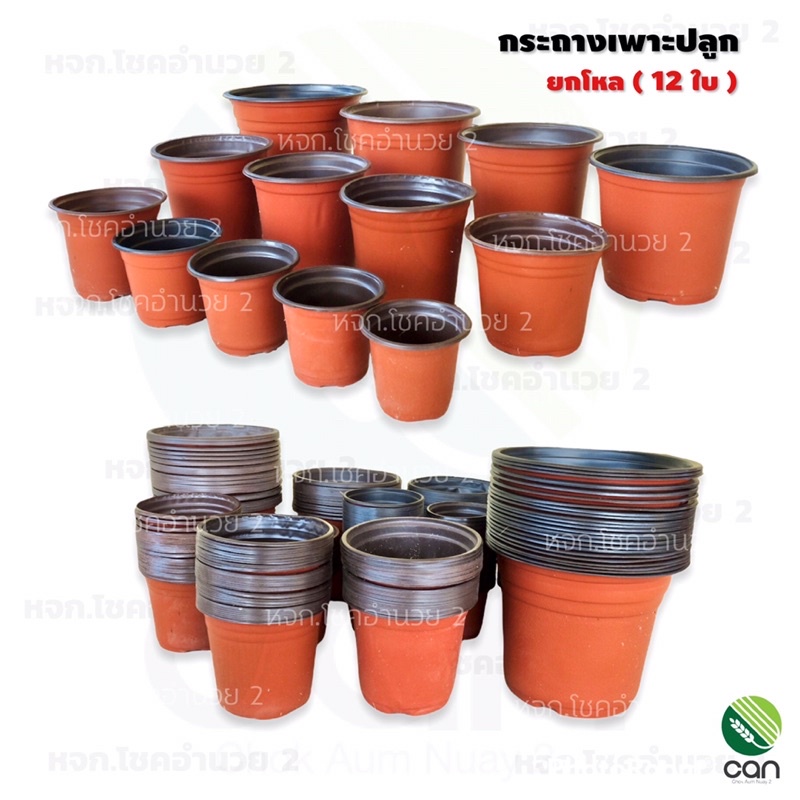 พร้อมส่ง!! (ยกโหล/12ใบ) กระถาง เพาะปลูก มี 13 ขนาด