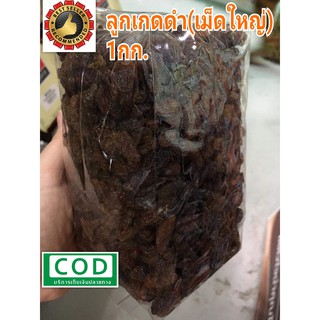 ลูกเกดดำ เม็ดใหญ่ 1KG Raisin Grape