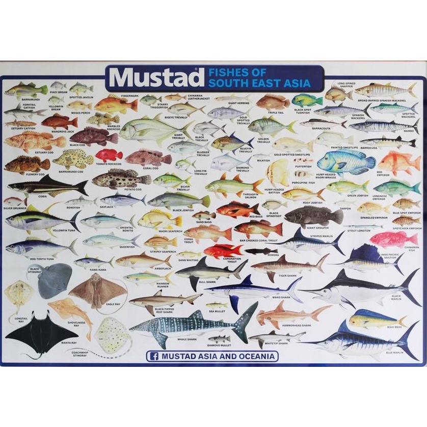 โปสเตอร์ MUSTAD FISHES OF SOUTH EAST ASIA 88 ซม. X 63 ซม.