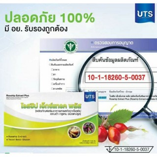 Rosehip extract plus สร้างภูมิคุ้มกันโรค ชลอความแก่ชรา ฟื้นฟูสมรรถภาพภายในร่างกาย