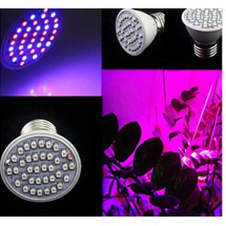 ส่งจากไทย LED 36 หลอด Full Spectrum LED Grow Light ไฟสำหรับปลูกต้นไม้