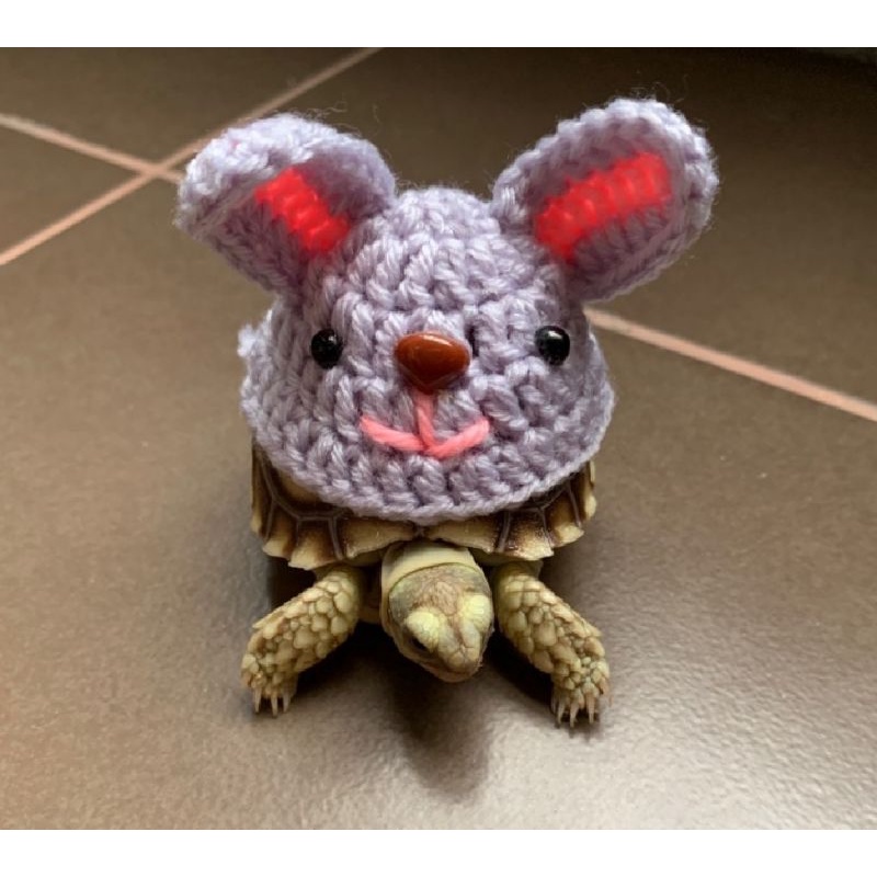 Temsuk : ชุดเต่า ชุดเต่าบก ชุดเต่าซูคาต้า ลายกระต่าย (Rabbit) สินค้า Handmade ถักจากไหมพรม 4ply สายรัดเป็นยางยืด