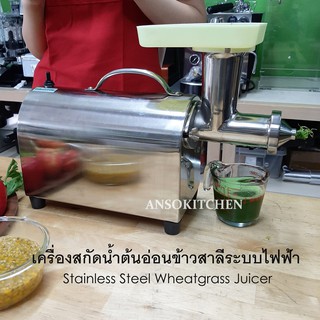 เครื่องคั้นสกัดนํ้าต้นอ่อนข้าวสาลี ระบบไฟฟ้า Stainless Steel Wheatgrass Juicer ใช้คั้นน้ำต้นอ่อนข้าวสี